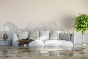 water damage cleanup lewisville
